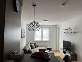 Apartman DAVID
